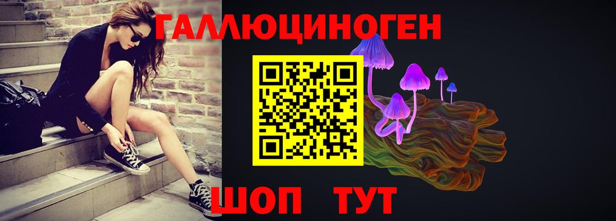 Галлюциногенные грибы мухоморы  Вход с VPN  Тамбов 